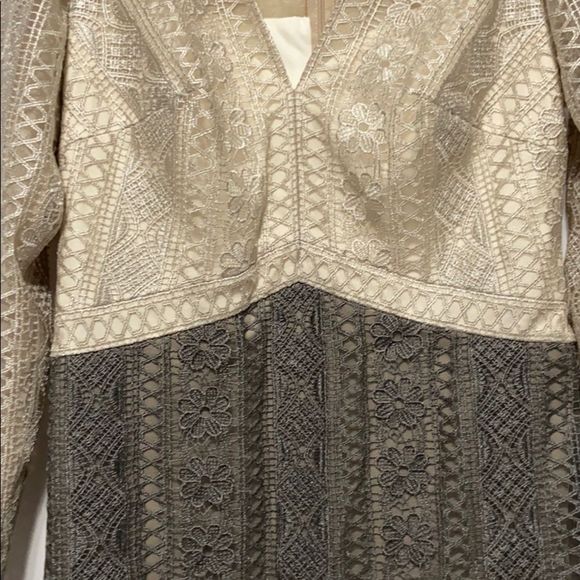 Tadashi Shoji Lace Gown - Picture 6 of 8